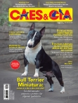 Edição 490 - Bull Terrier Miniatura