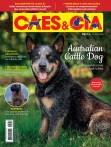 Edição 495 - Especial Australian Cattle Dog - Fev/Mar 2022