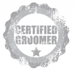 PRATICO + TEÓRICO - Certificação categoria Intermediária Groom Brasil 